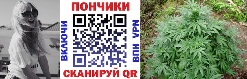 Бошки марихуана SATIVA & INDICA  Мезень 